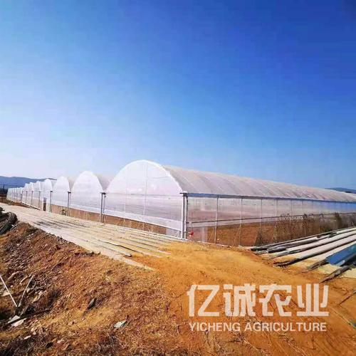 一般项目:技术服务,技术开发,技术咨询,技术交流,技术转让,技术推广